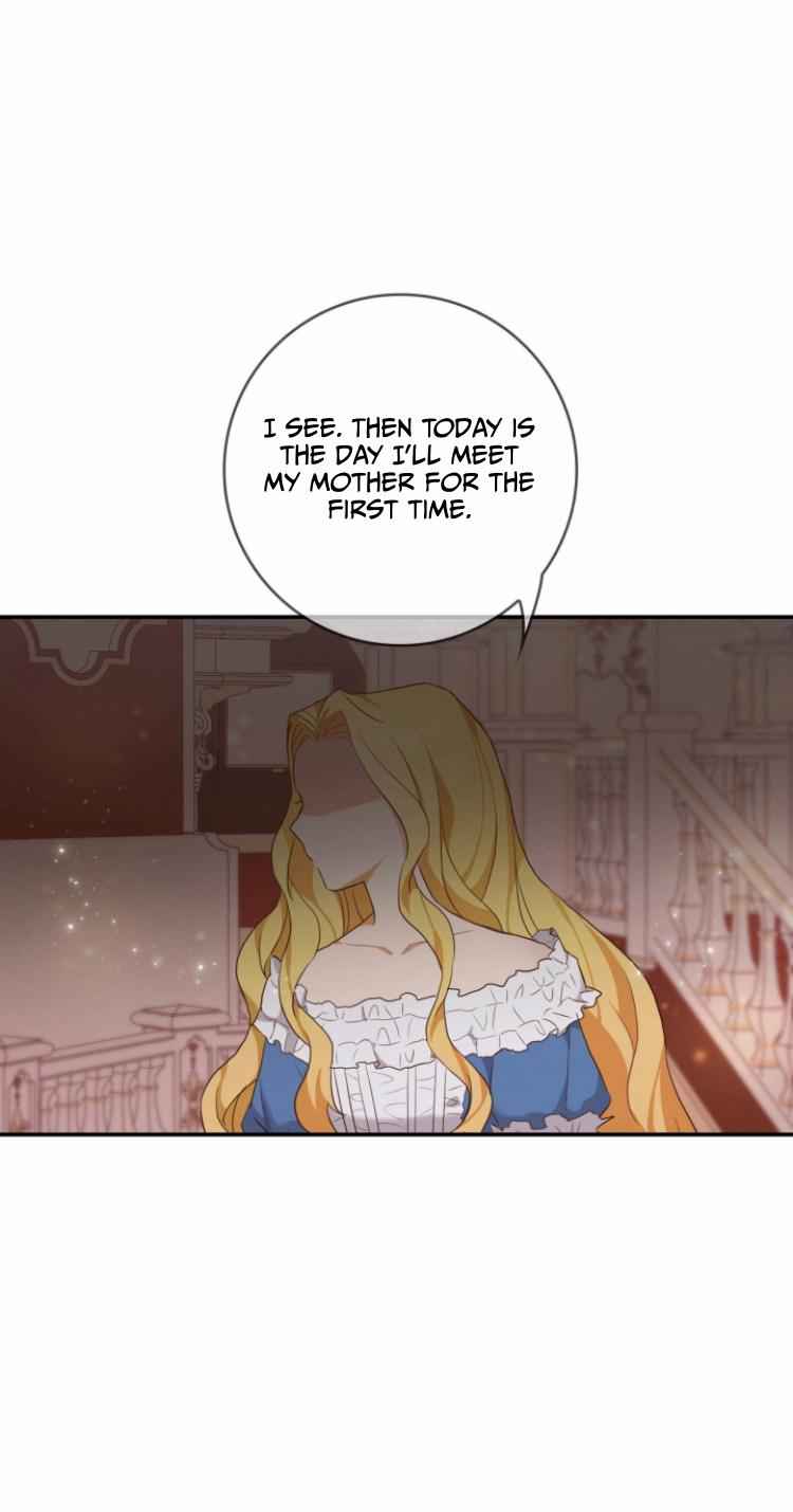 The Two-Faced Princess Chapter 1 48